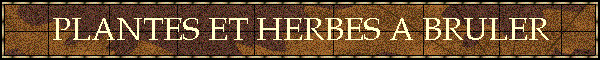 PLANTES ET HERBES A BRULER