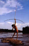 AMAZONIE 2.jpg (17096 octets)