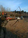 ARC LONG BOW.jpg (64838 octets)