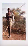 Tanzanie 1.jpg (30973 octets)
