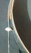 boutonbrousse.jpg (6360 octets)