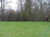 chasse14.jpg (82880 octets)