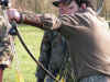 chasse22.jpg (95576 octets)