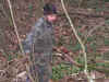 chasse7.jpg (86321 octets)