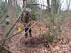 chasse8.jpg (88590 octets)