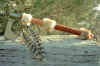 tomahawk16.jpg (172688 octets)