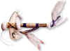 tomahawk26.jpg (7380 octets)