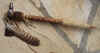 tomahawk41.jpg (62455 octets)